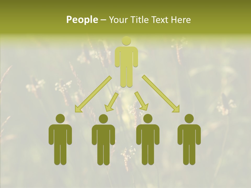 Sun Flower Under PowerPoint Template