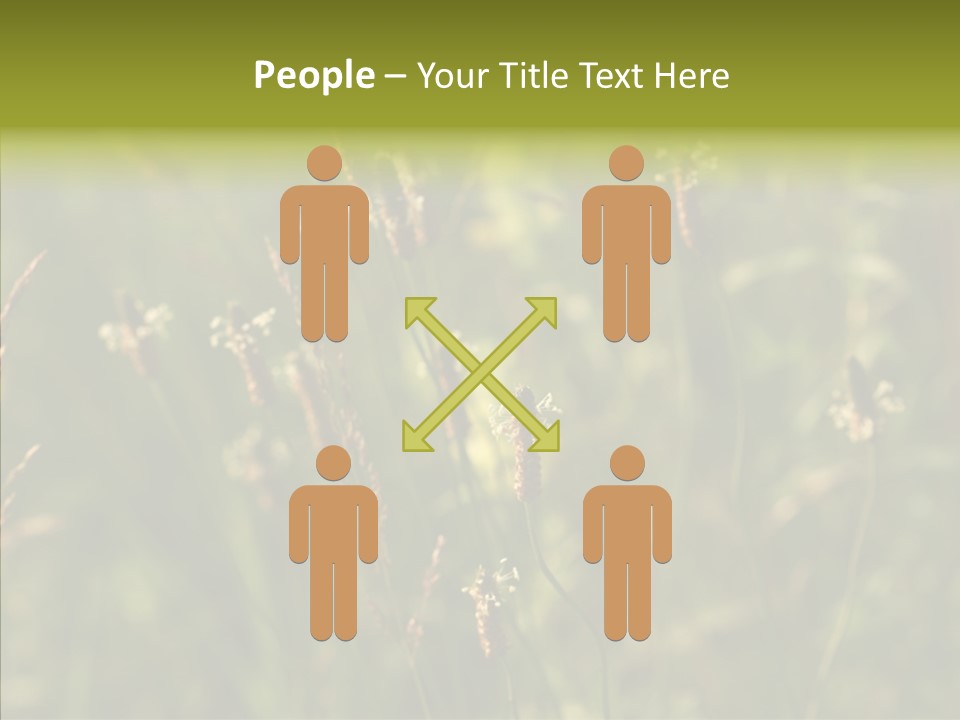 Sun Flower Under PowerPoint Template