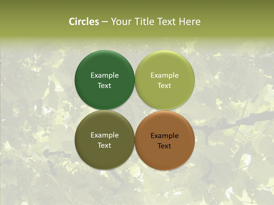 Fruit Amber Farmland PowerPoint Template