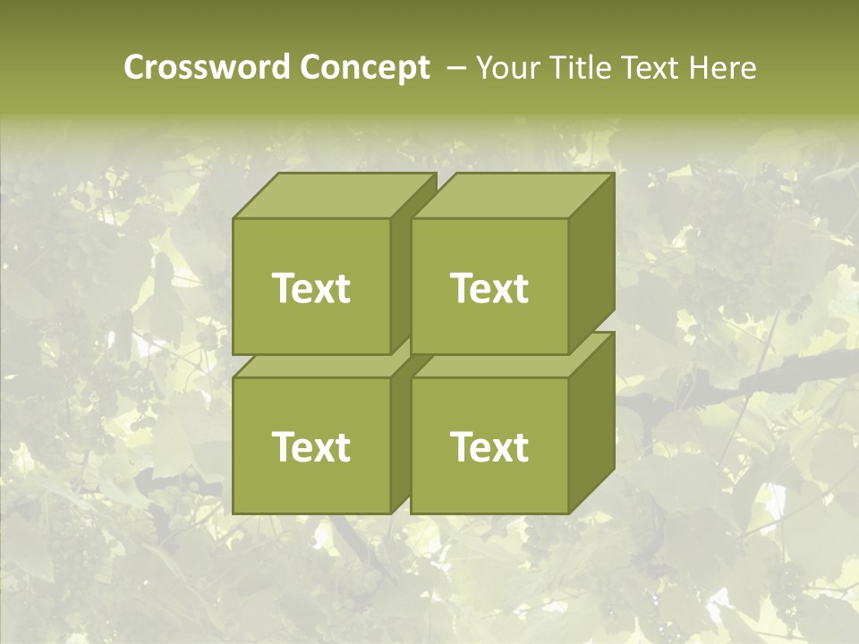 Fruit Amber Farmland PowerPoint Template