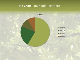 Fruit Amber Farmland PowerPoint Template