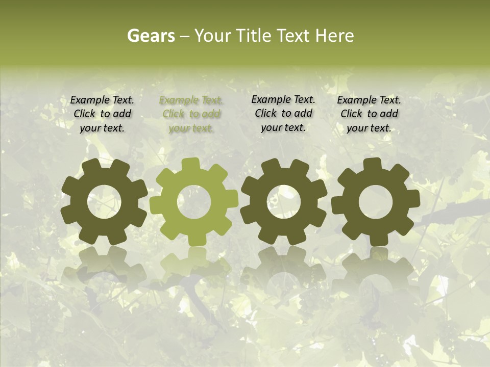 Fruit Amber Farmland PowerPoint Template