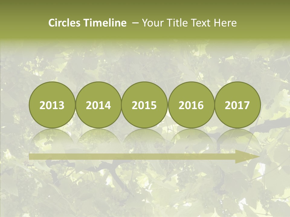 Fruit Amber Farmland PowerPoint Template