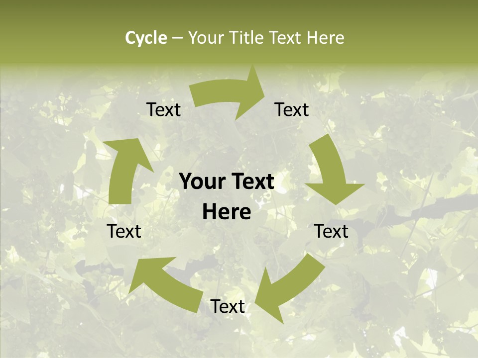 Fruit Amber Farmland PowerPoint Template