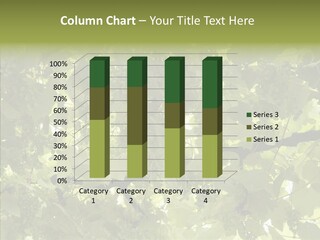 Fruit Amber Farmland PowerPoint Template