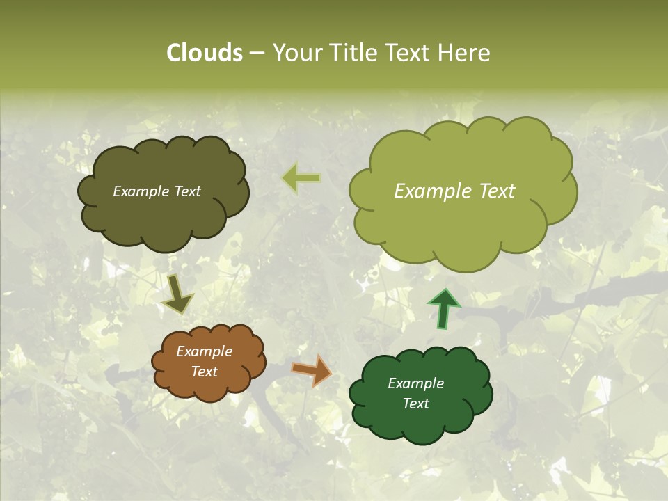 Fruit Amber Farmland PowerPoint Template