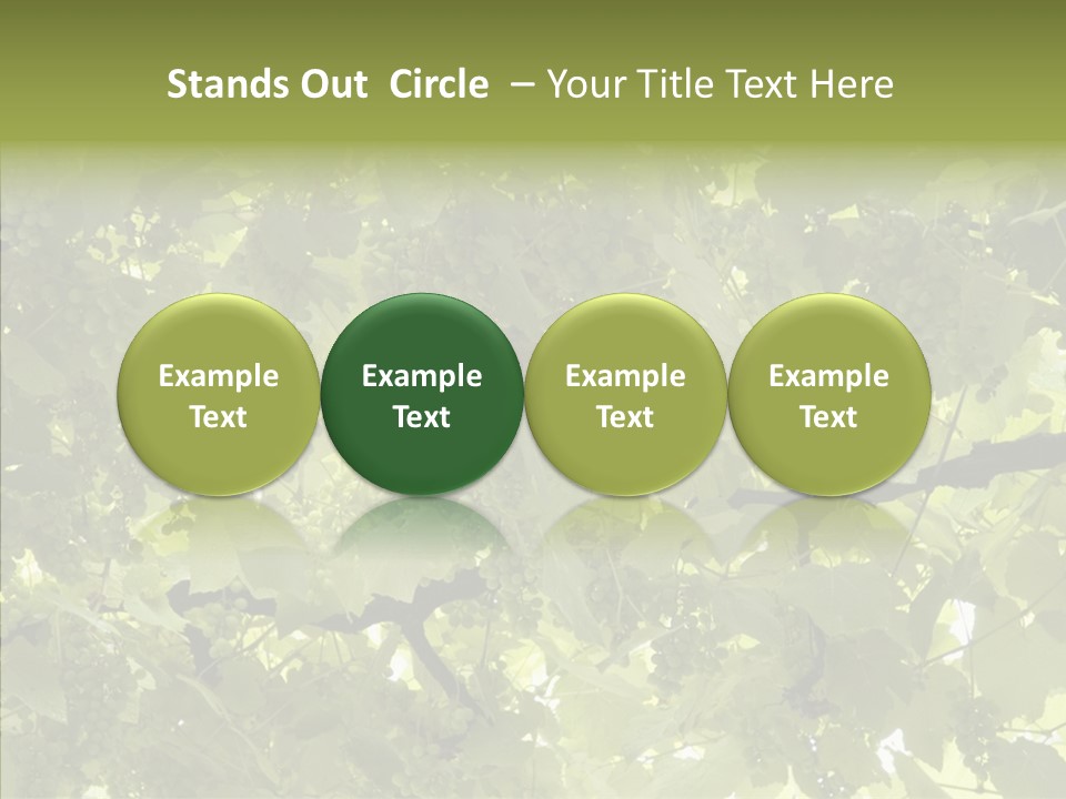 Fruit Amber Farmland PowerPoint Template