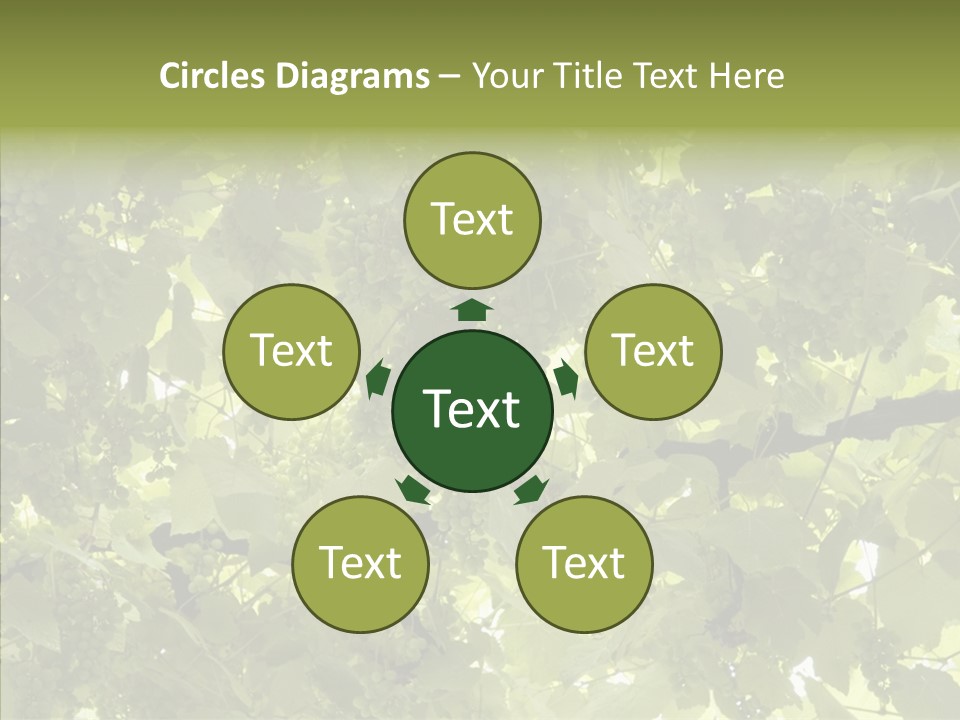 Fruit Amber Farmland PowerPoint Template