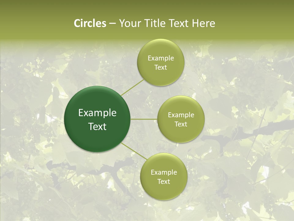 Fruit Amber Farmland PowerPoint Template