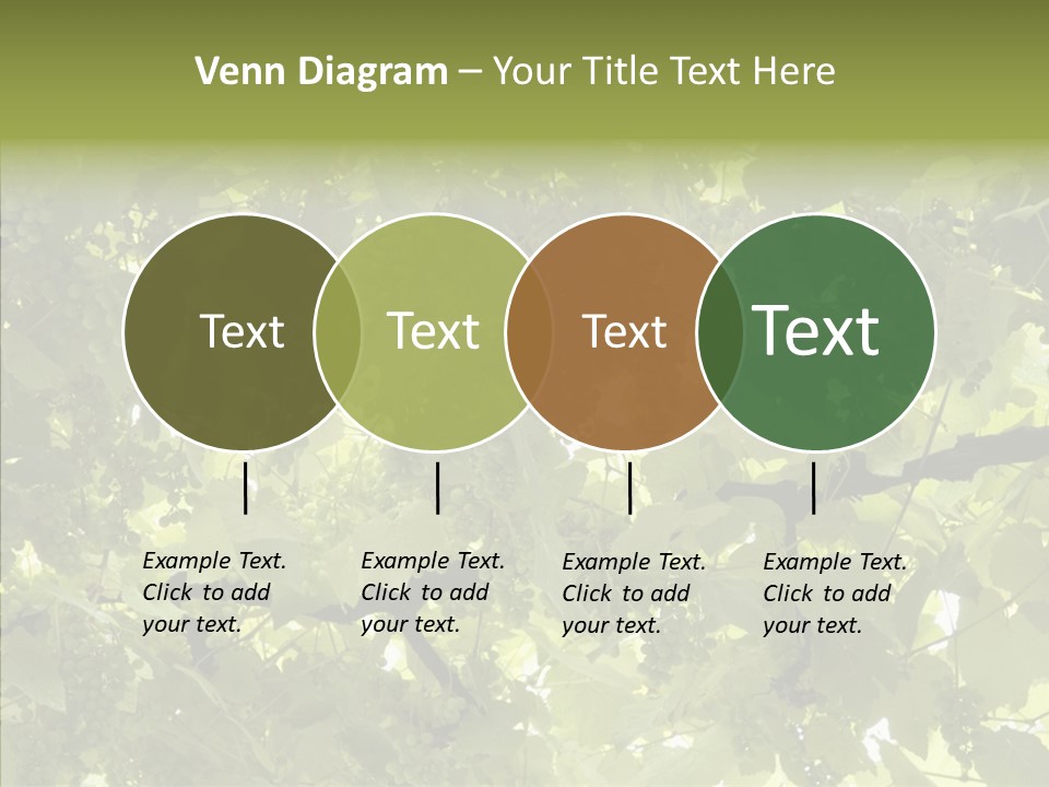 Fruit Amber Farmland PowerPoint Template