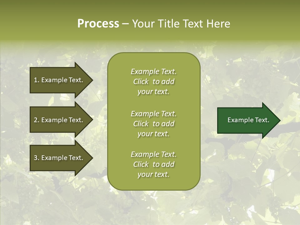 Fruit Amber Farmland PowerPoint Template