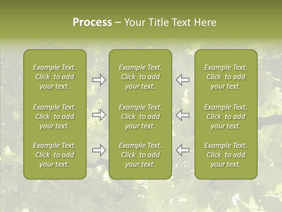 Fruit Amber Farmland PowerPoint Template
