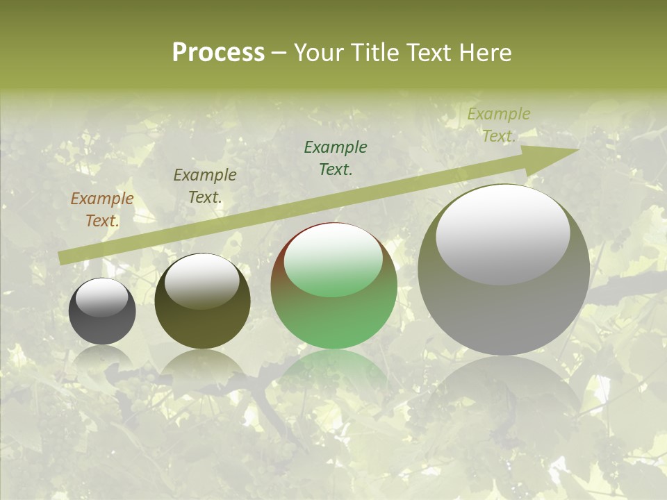 Fruit Amber Farmland PowerPoint Template