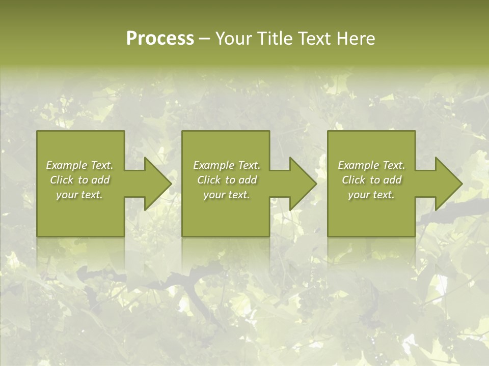 Fruit Amber Farmland PowerPoint Template