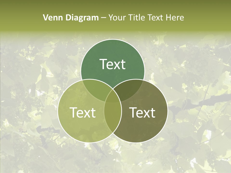 Fruit Amber Farmland PowerPoint Template