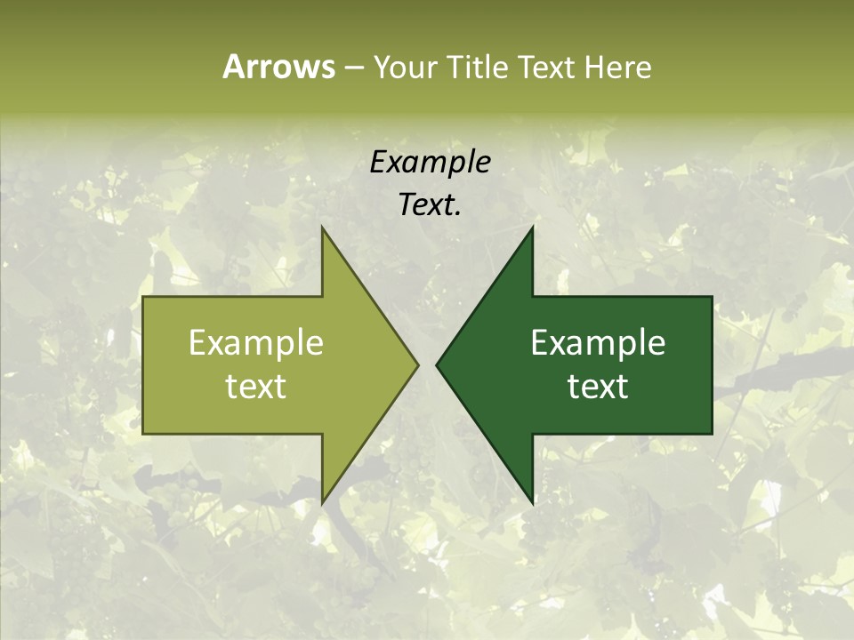 Fruit Amber Farmland PowerPoint Template