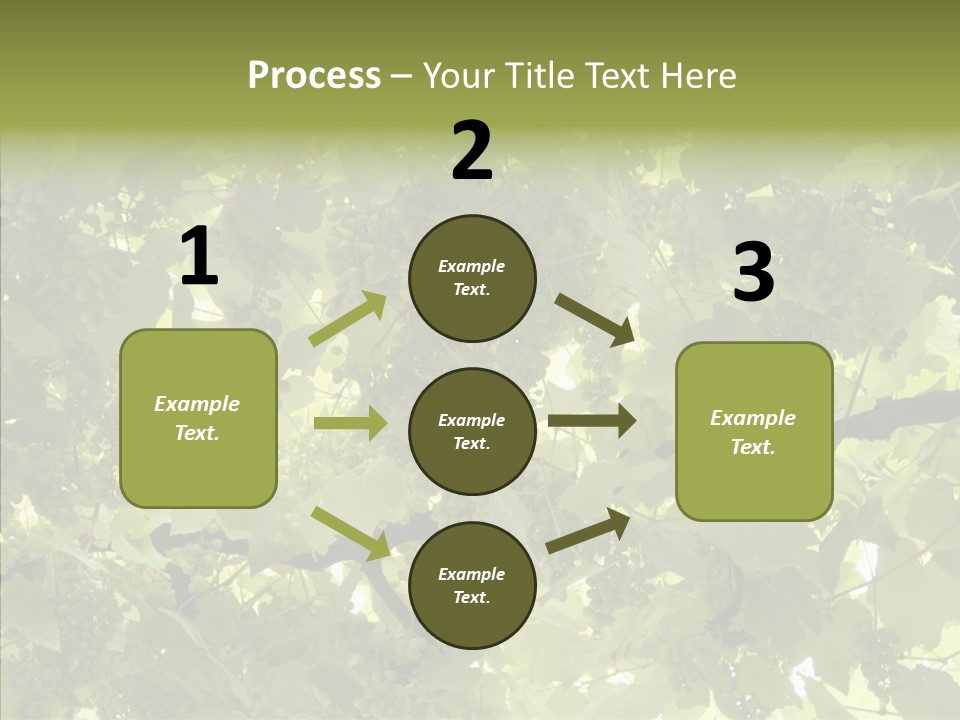 Fruit Amber Farmland PowerPoint Template