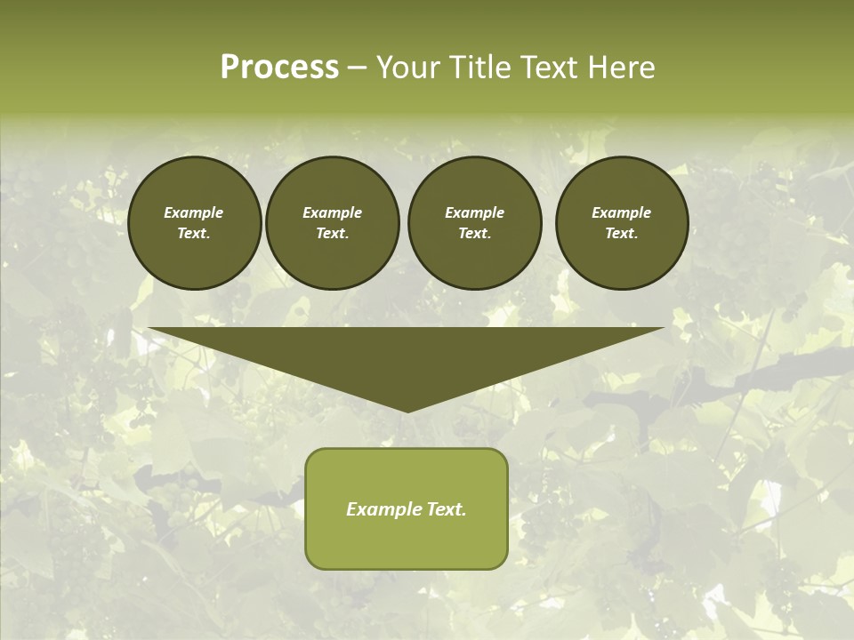 Fruit Amber Farmland PowerPoint Template