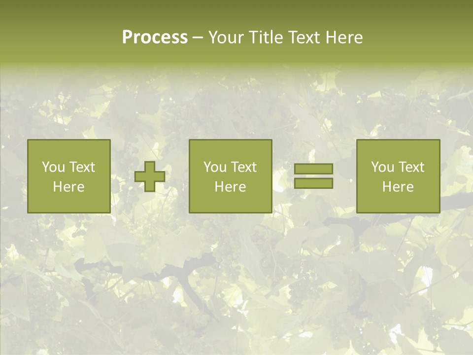 Fruit Amber Farmland PowerPoint Template