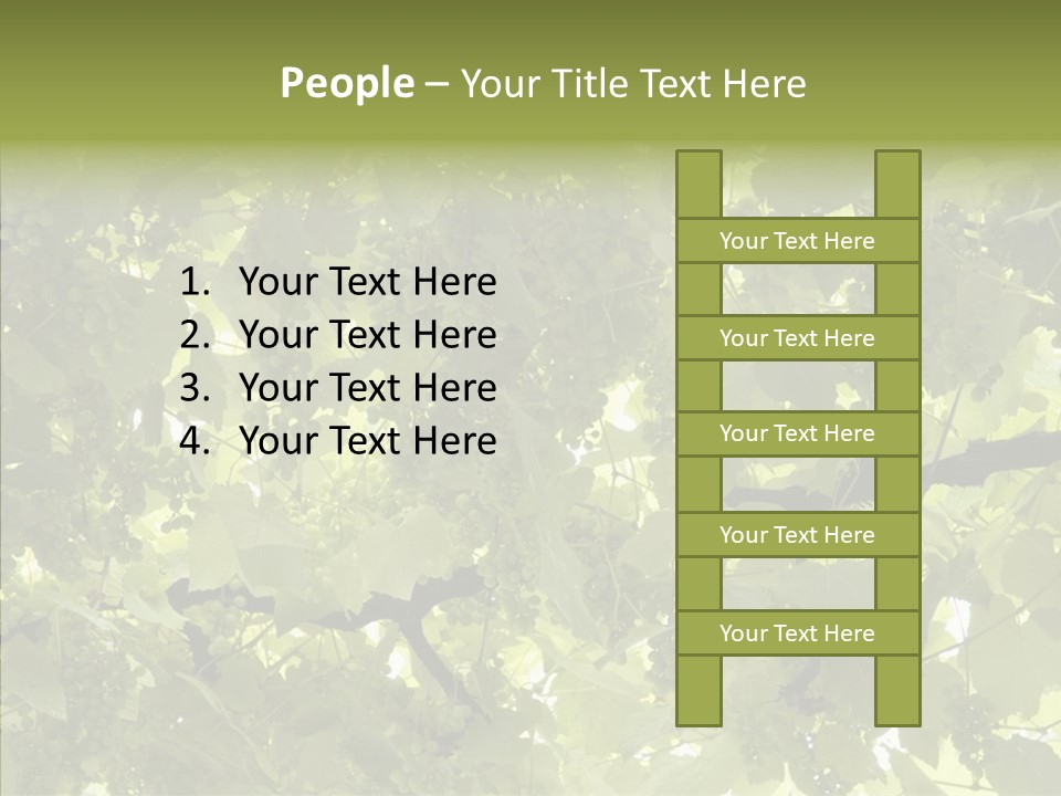 Fruit Amber Farmland PowerPoint Template