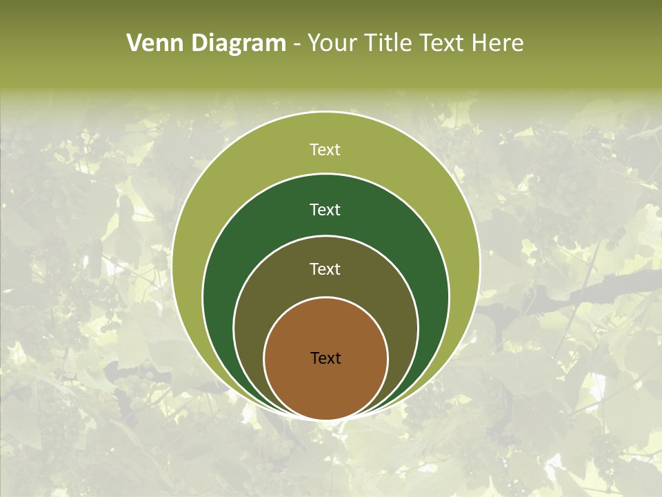 Fruit Amber Farmland PowerPoint Template