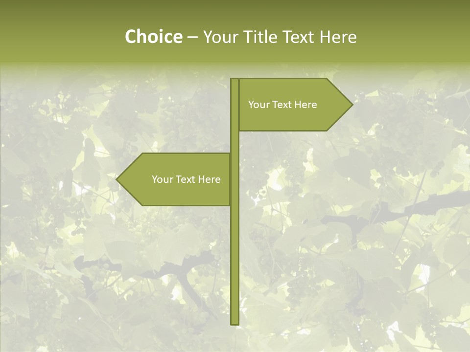 Fruit Amber Farmland PowerPoint Template