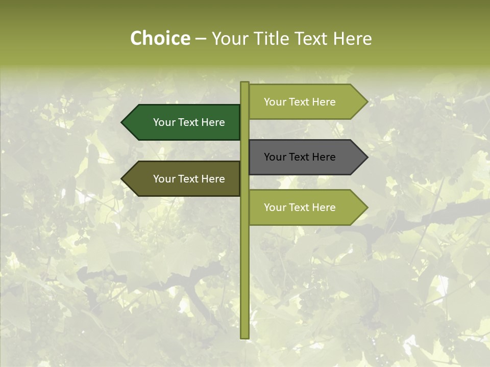 Fruit Amber Farmland PowerPoint Template