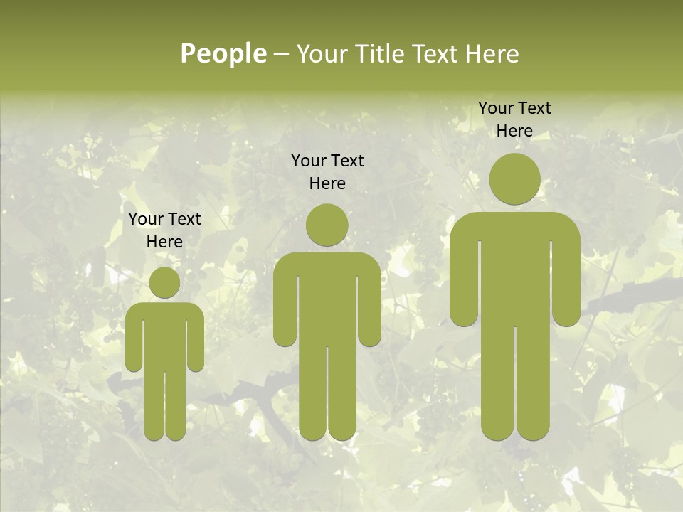 Fruit Amber Farmland PowerPoint Template