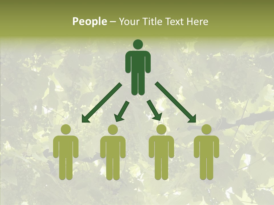 Fruit Amber Farmland PowerPoint Template