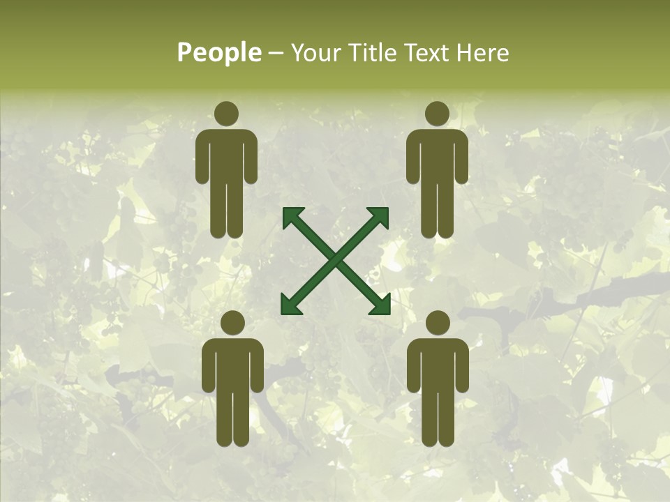 Fruit Amber Farmland PowerPoint Template