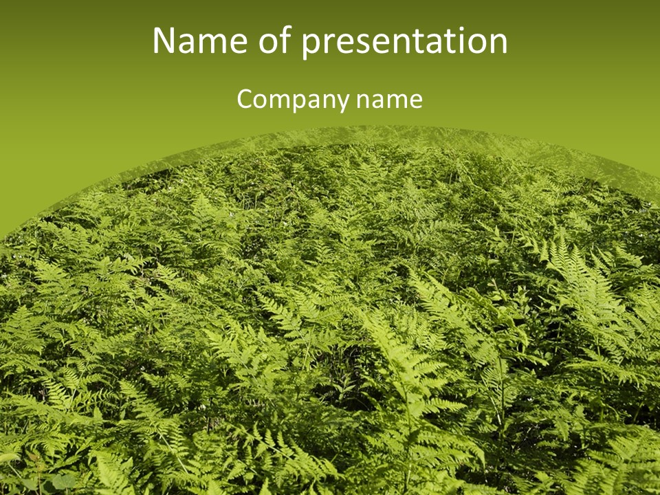 Nature Ferny Summer PowerPoint Template