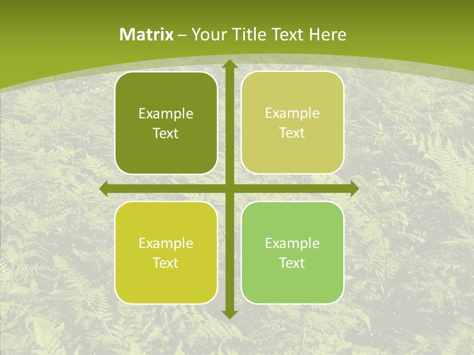 Nature Ferny Summer PowerPoint Template