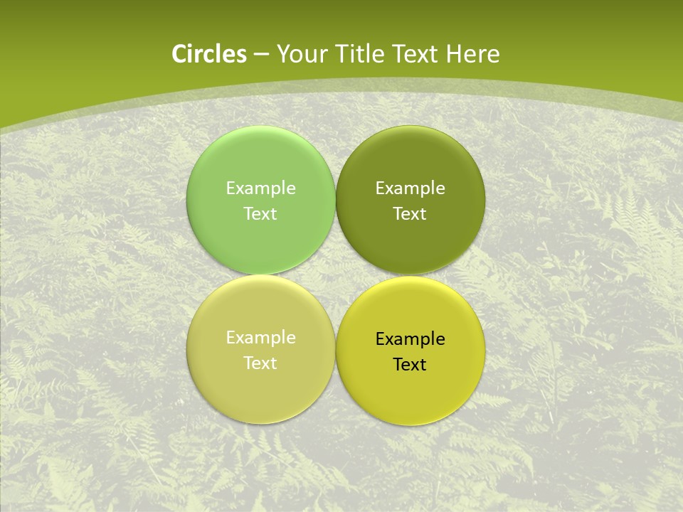 Nature Ferny Summer PowerPoint Template