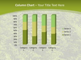 Nature Ferny Summer PowerPoint Template