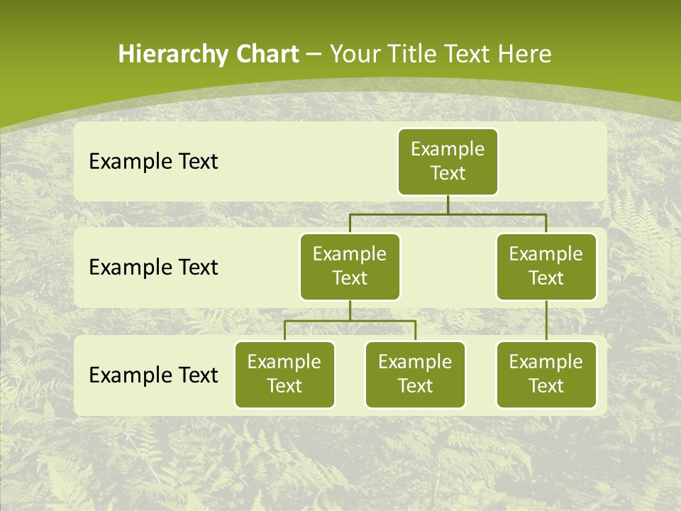 Nature Ferny Summer PowerPoint Template