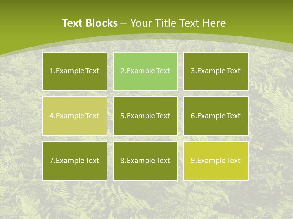 Nature Ferny Summer PowerPoint Template