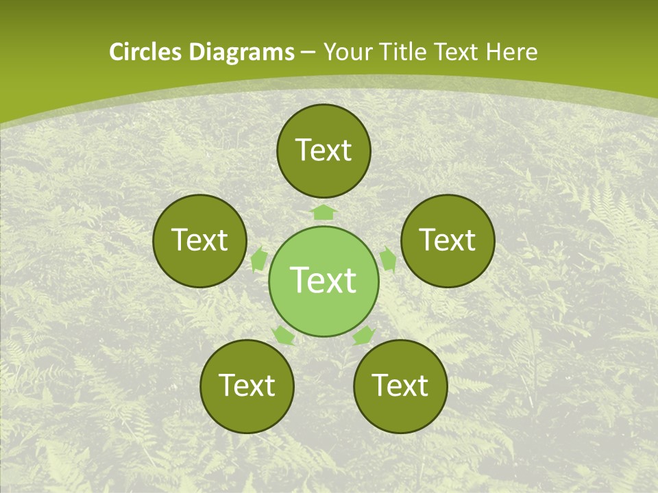 Nature Ferny Summer PowerPoint Template