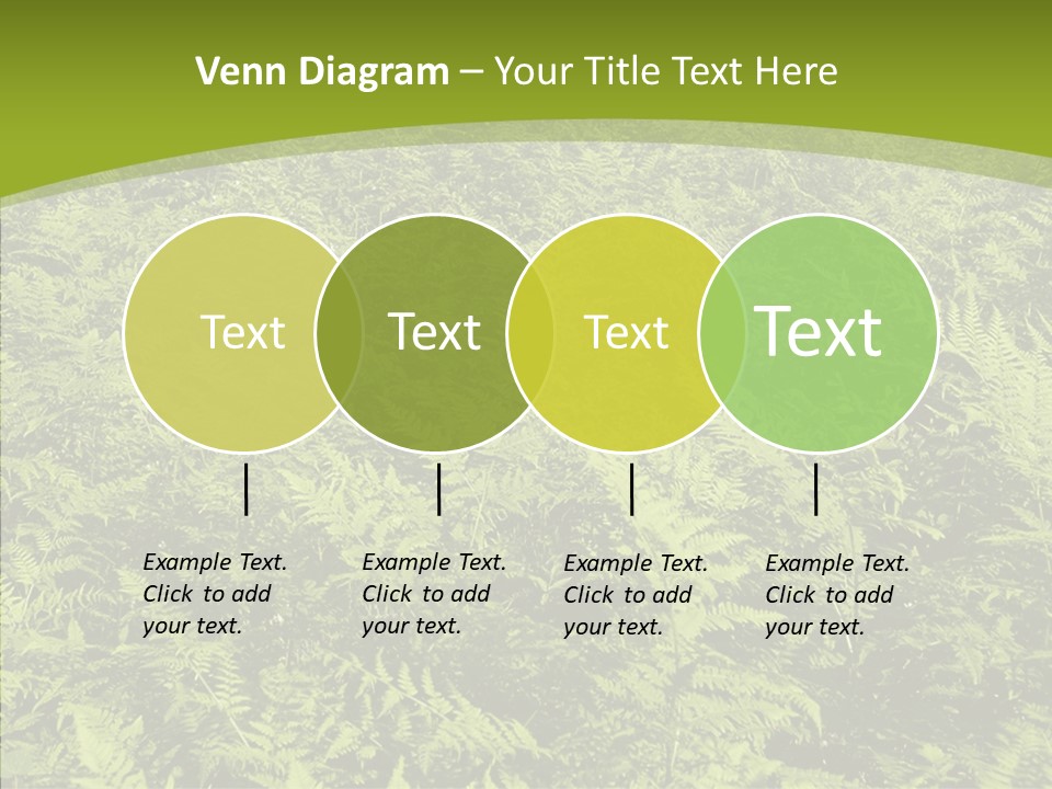 Nature Ferny Summer PowerPoint Template