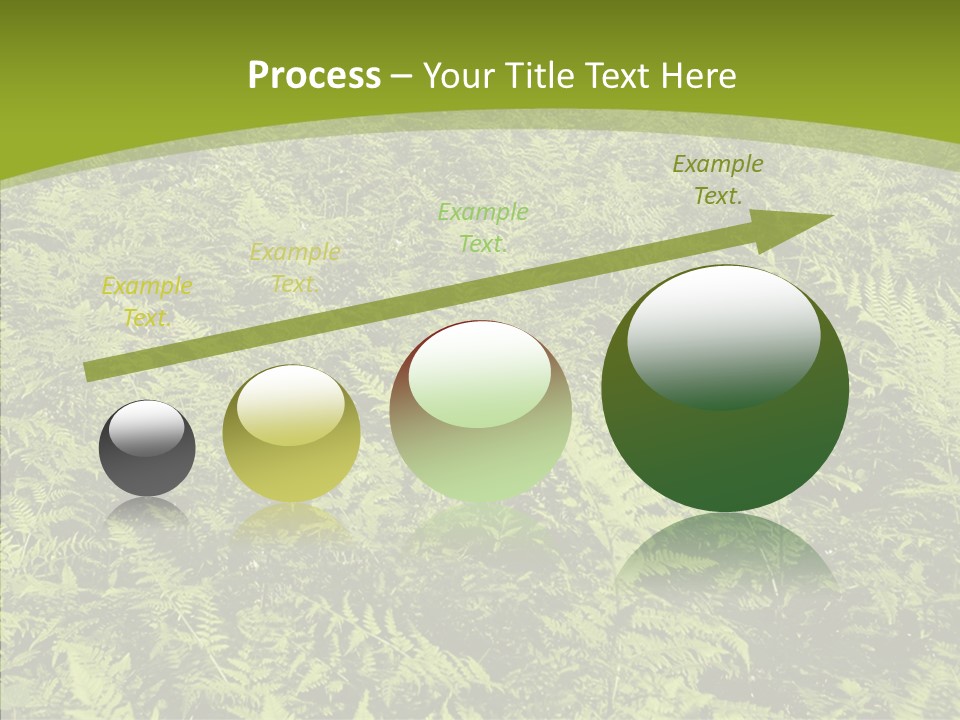 Nature Ferny Summer PowerPoint Template