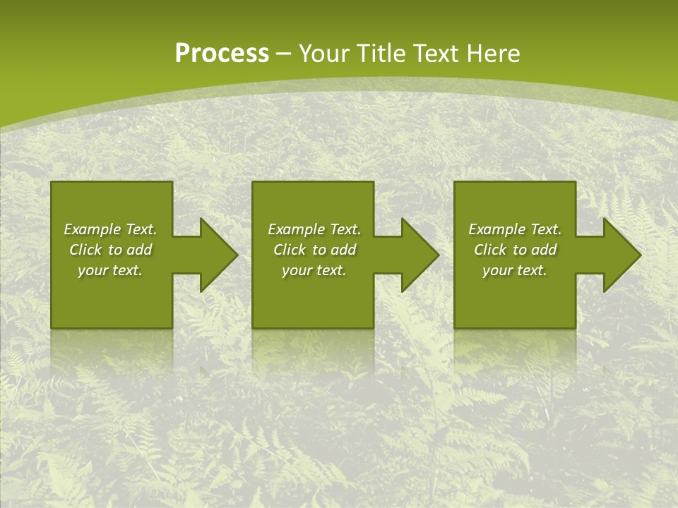 Nature Ferny Summer PowerPoint Template