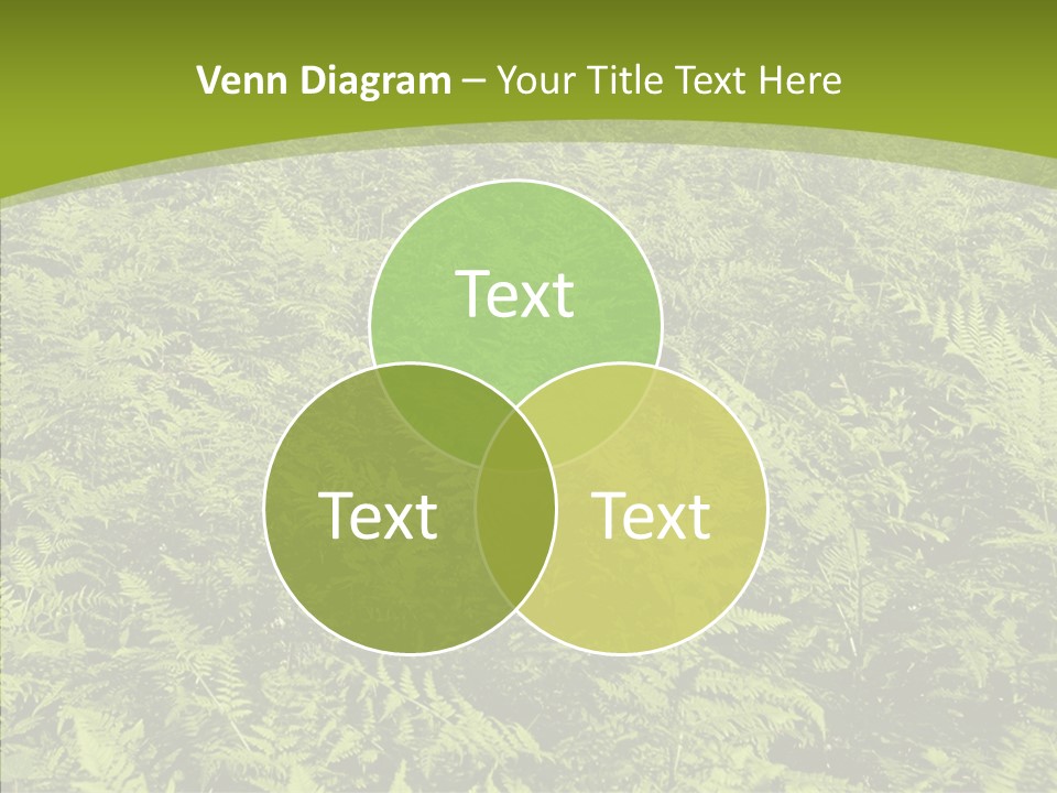 Nature Ferny Summer PowerPoint Template