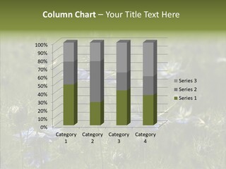 Summer Damascena Foliage PowerPoint Template