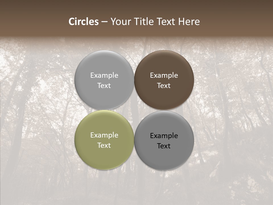 Sepia Country Forest PowerPoint Template