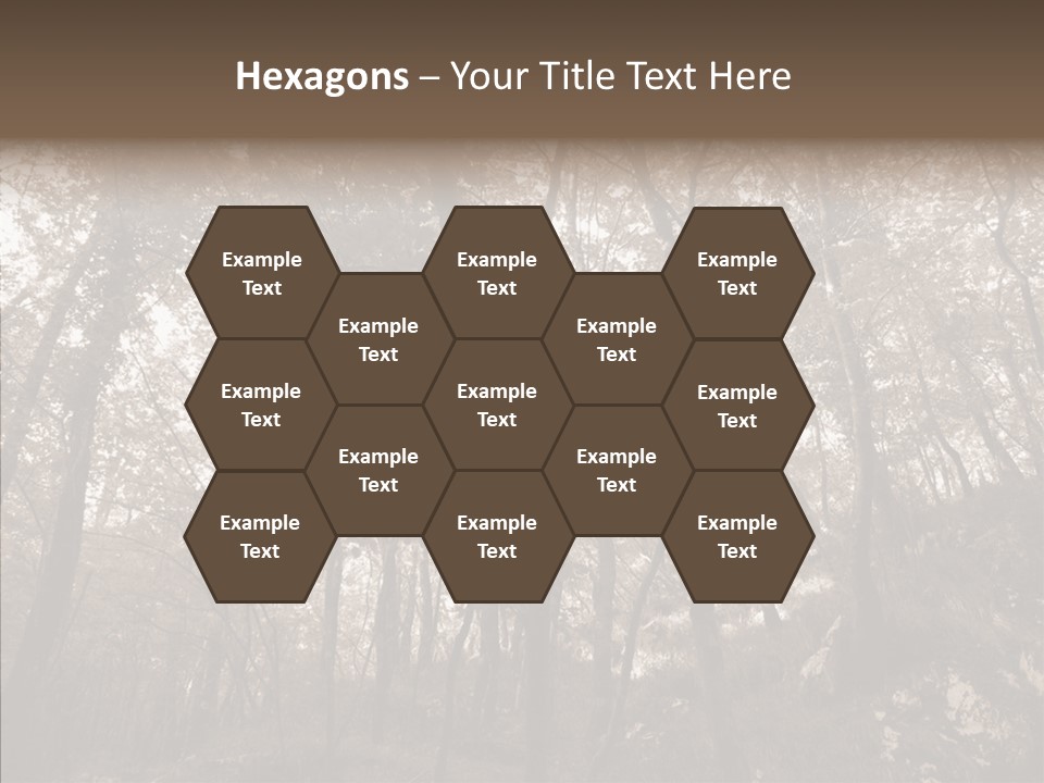 Sepia Country Forest PowerPoint Template