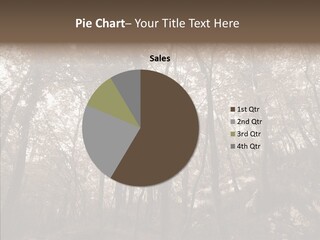 Sepia Country Forest PowerPoint Template