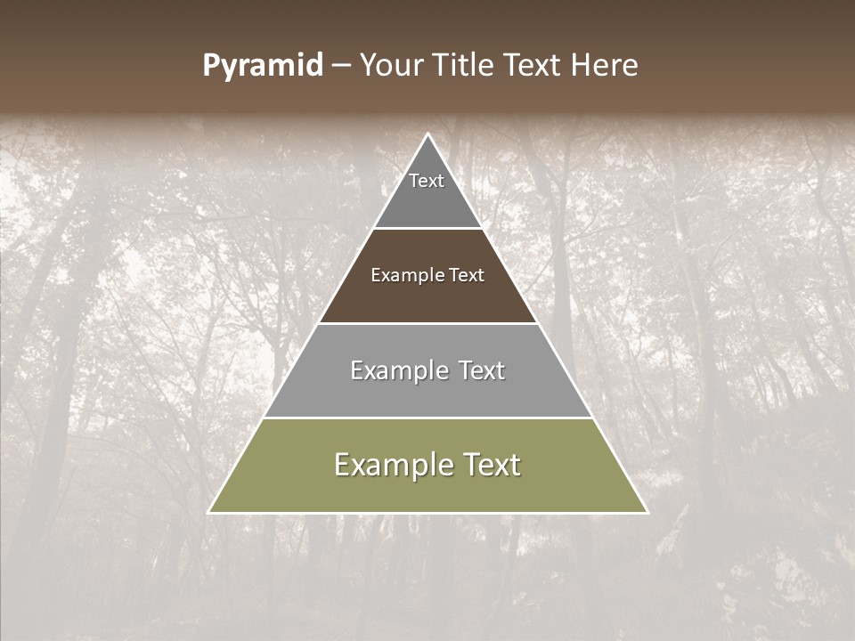 Sepia Country Forest PowerPoint Template