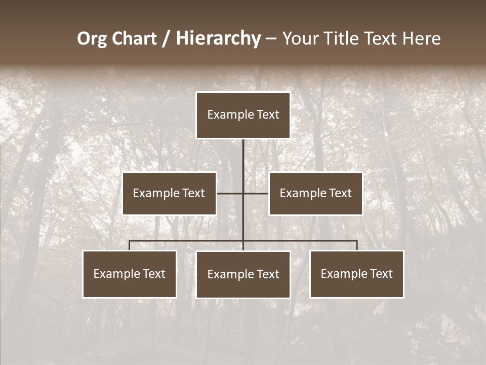 Sepia Country Forest PowerPoint Template