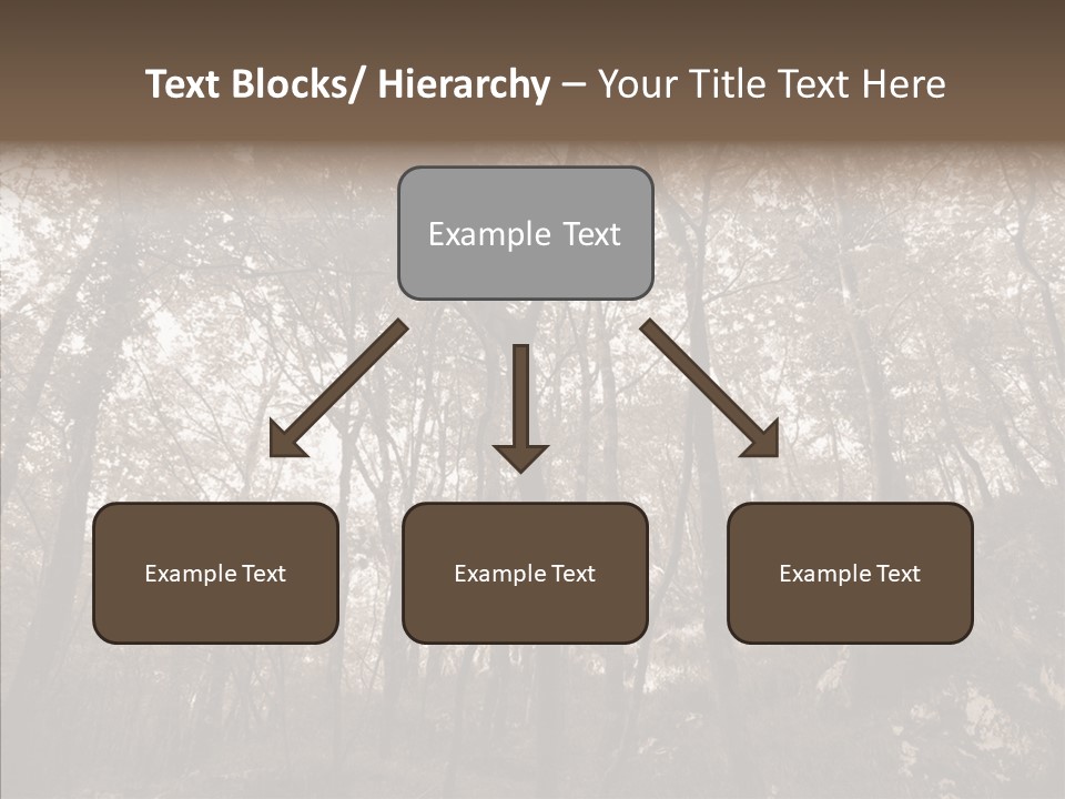 Sepia Country Forest PowerPoint Template