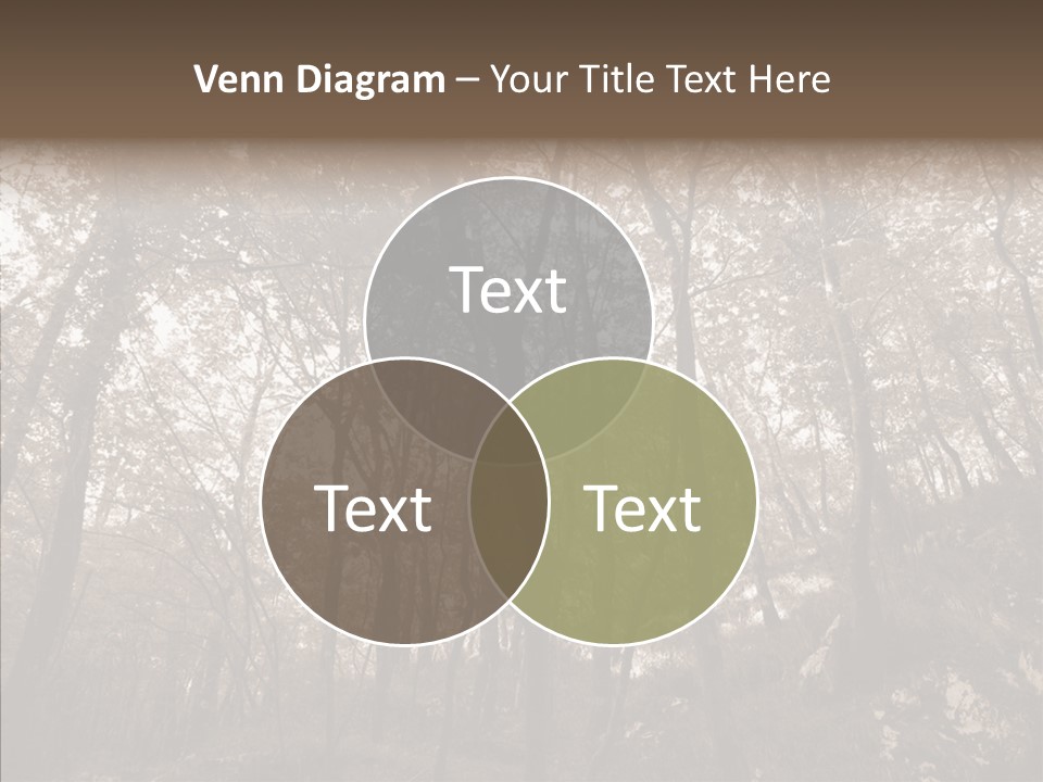 Sepia Country Forest PowerPoint Template
