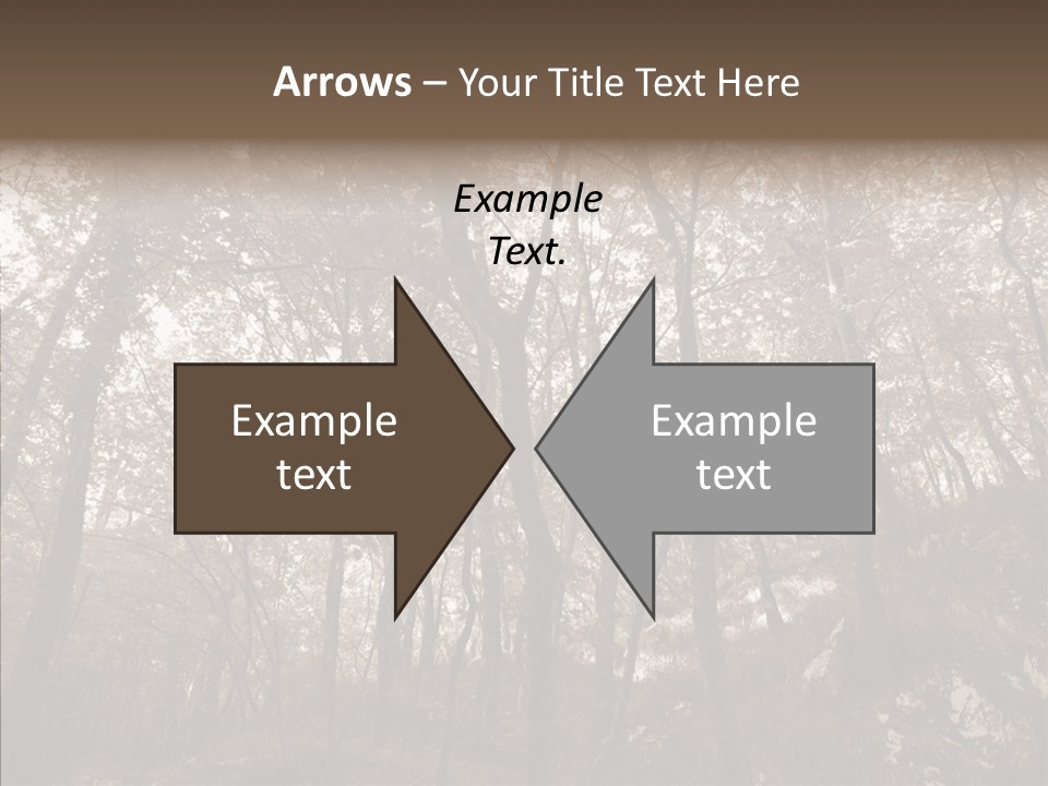 Sepia Country Forest PowerPoint Template